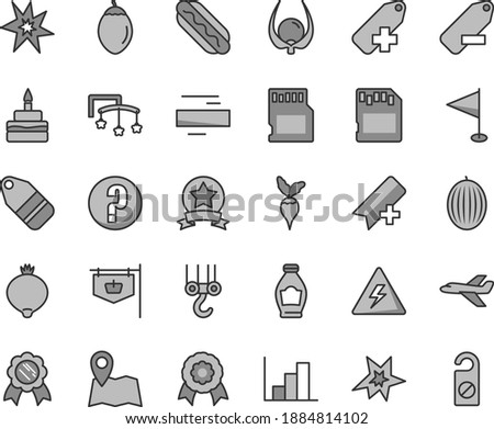 Thin line gray tint vector icon set - danger of electricity vector, add bookmark, minus, label, remove, pennant, negative histogram, question, toys over the cot, winch hook, Hot Dog, birthday cake