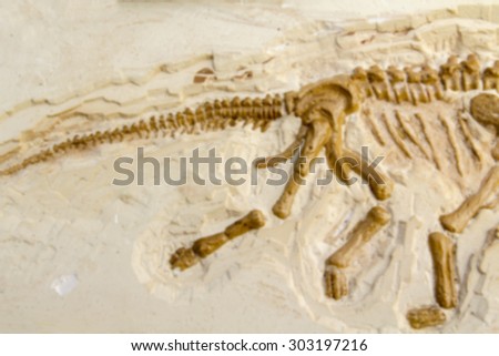 Blurred skeleton in stone.Training for dig fossil.Used  color tool for old tone.