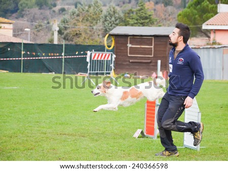 Campello sul Clitnno, Italy - December 28, 2014: : Image of agility dog competition in Italy.