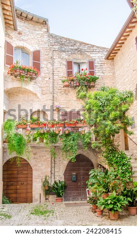 Historical Spello alley with flowers