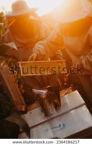 Foto Bild Imker, der in der Imkerei arbeitet.