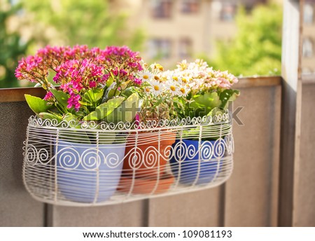 An image of a balcony flower box filled with plant-pots