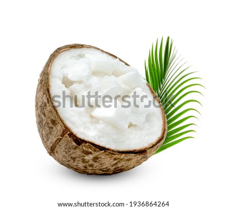 Coconut milk tropical fruit or fluffy coconut cut in half with palm leaf isolated on white background