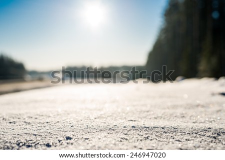 View of the snow-covered road and forest with curb, the sun rises from the horizon
