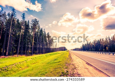 Midday sun on country roads in the forest. Image in the orange-blue toning