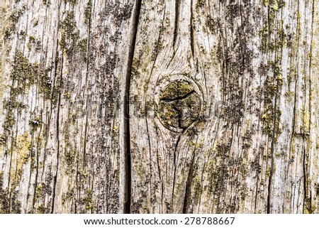 Old cracked wood with knots and cracks