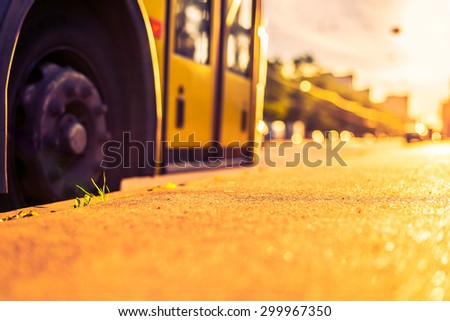 Sunny day in a city, view from the sidewalk level to stop the bus. Image in the orange-purple toning