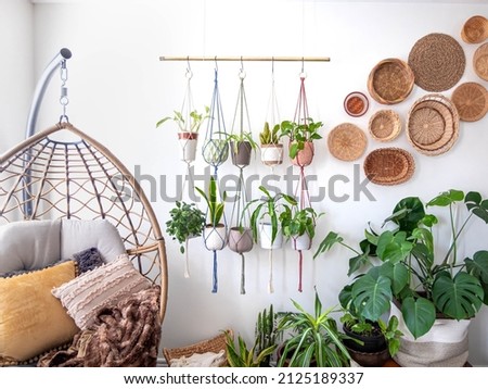 Multiple macrame plant hangers with indoor houseplants and pot planters are hanging from a metal pole. Boho basket wall decor and wicker egg chair are use to add character to the cozy bohemian room. Imagine de stoc © 
