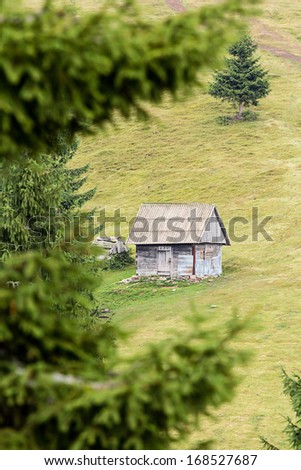 Mountain landscape with fir trees and cottage in Transylvania, Romania
