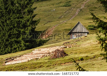 Mountain landscape with fir trees, tree trunks and cottages in Transylvania, Romania