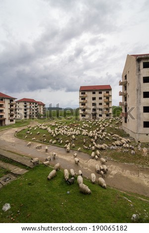 Abandoned block of flats under construction. Brick and cement textures with grass around it and sheep