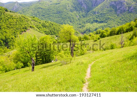 Mountain landscape with trees and small path