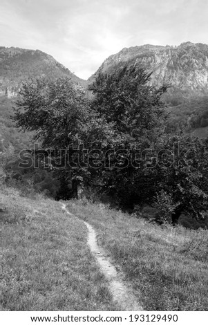 Black and white mountain landscape with trees and small path