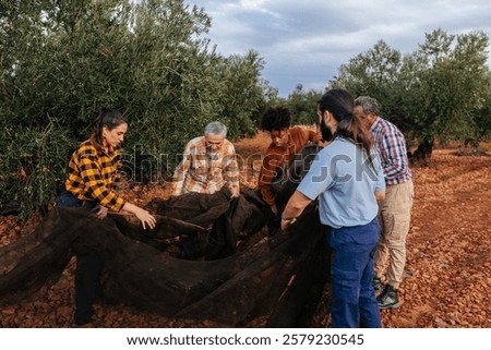 Similar – Foto Bild bauern, die oliven auf einem feld in spanien sammeln