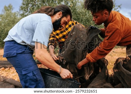 Similar – Image, Stock Photo farmers collecting olives in field of spain