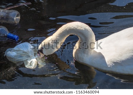 Similar – Image, Stock Photo Plastic waste on bird neck. Ducks and plastic pollution