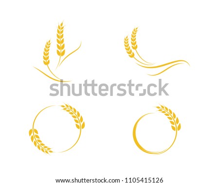 Agriculture wheat Logo Template vector icon design 