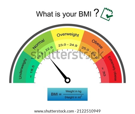 Adult body mass index range infographic inspeedometer with weight status from underweight to extremely obese with BMI calculator.Medical healthcare concept.what is your BMI.Vector.Illustration.