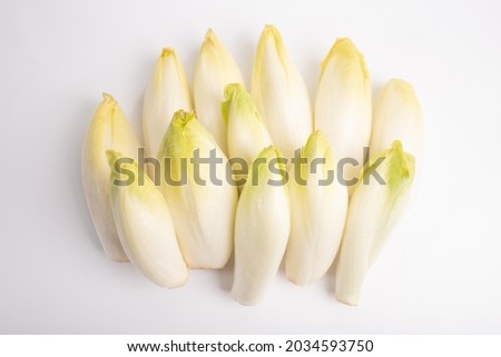 many raw endives salad roots or chicory on white background, top view Foto d'archivio © 
