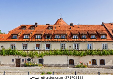 MARIBOR, SLOVENIA - MAY 23, 2014: Over 400 years Old Vine, grows on frontage of the Old Vine House building. It is the oldest living specimen of vine in the world, registered in the Guinness Book of Records