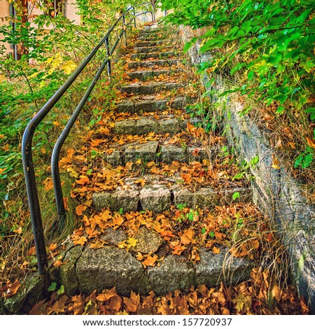 Forgotten, dilapidated stairs in autumn scenery.