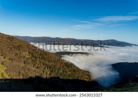 Foto Bild Nebel über wunderschönes hügeliges Gelände