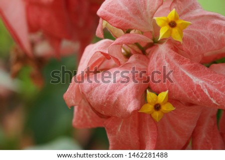 Shutterstock Puzzlepix