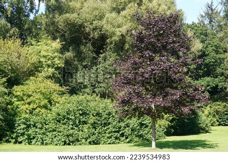 Similar – Image, Stock Photo Sentry