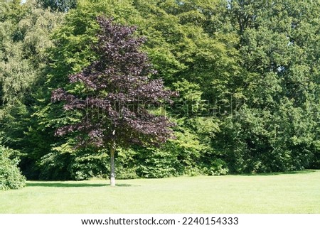 Similar – Image, Stock Photo Sentry