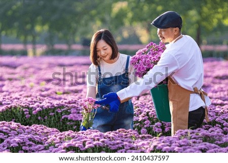 Similar – Image, Stock Photo Crop woman planting flowers in pot at table