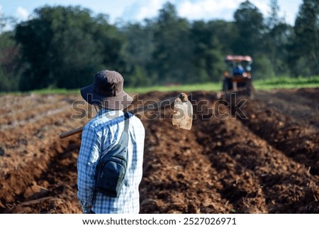 Similar – Image, Stock Photo Potato plantation and tractor farmer cultivating rows. Agroindustry and agribusiness. Cultivation of a young potato field. Loosening of the soil between the rows of bushes. Blurry