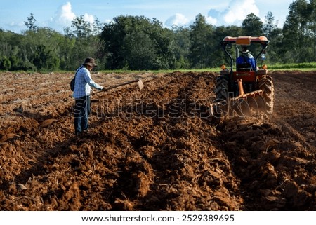 Similar – Image, Stock Photo Potato plantation and tractor farmer cultivating rows. Agroindustry and agribusiness. Cultivation of a young potato field. Loosening of the soil between the rows of bushes. Blurry