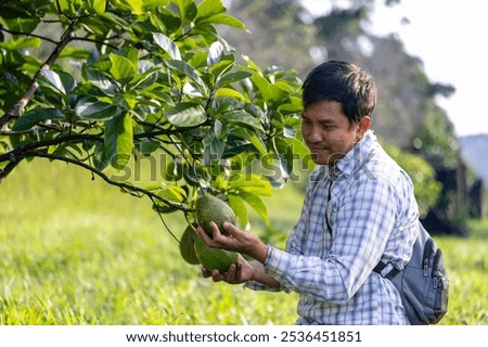 Similar – Image, Stock Photo Crop man harvesting green lettuce on farm