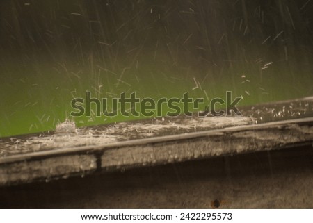 Similar – Image, Stock Photo Water drops bouncing off a lupine leaf