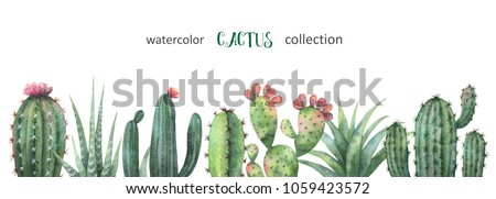 Similar – Image, Stock Photo Cactus texture background. Cactus in the desert. cactus with sun rays.