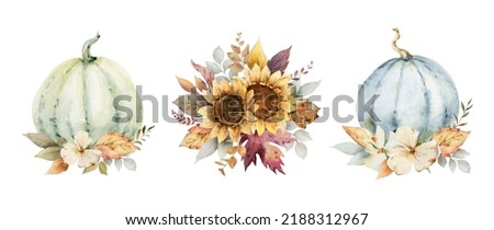 Similar – Image, Stock Photo Golden October Sunflower