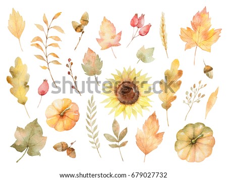 Similar – Image, Stock Photo Golden October Sunflower