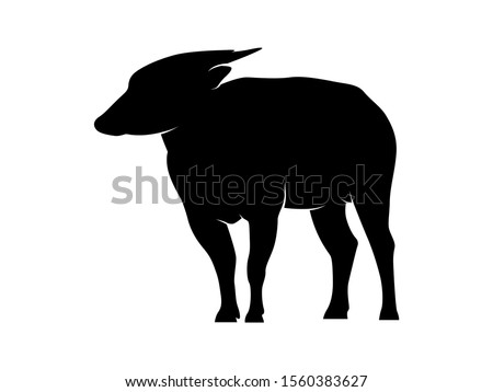 shutterstock puzzlepix shutterstock puzzlepix