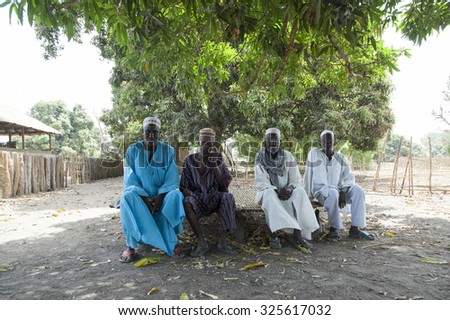 GABU, GUINEA-BISSAU - MARCH 29, 2014: African village chief and elders council meeting under the shadow of a tree in rural Guinea-Bissau