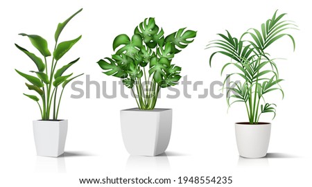 Collection of 3d realistic vector icon illustration potted plants for the interior. Isolated on white background.