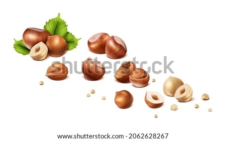 3d realistic vector icon. Stages of hazelnut from shelled nut to nut without shell, cut in halves and scrumps. Isolated on white background. 