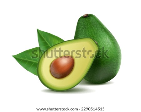 3d realistic vector icon set. Avocado whole and half. Isolated.