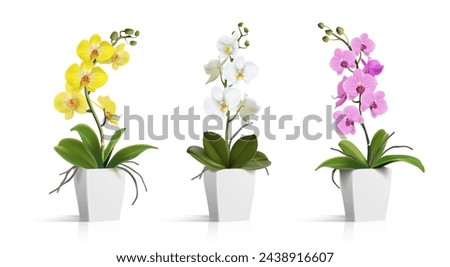 Similar – Image, Stock Photo White orchid flower in front of window pane