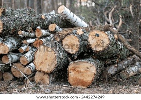 Image, Stock Photo Wood pile with sawed tree trunks after forestry work in Oerlinghausen near Bielefeld in the Teutoburg Forest in East Westphalia-Lippe