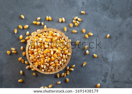 Similar – Image, Stock Photo Dried corn seeds at factory