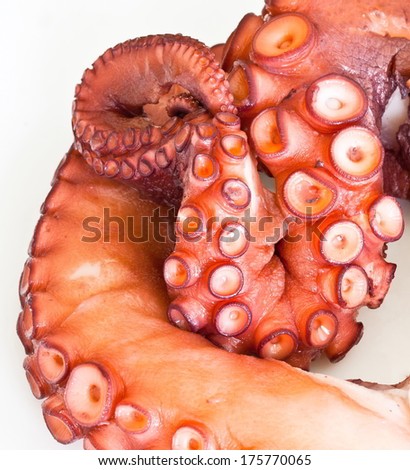 Cooked octopus paw in the foreground