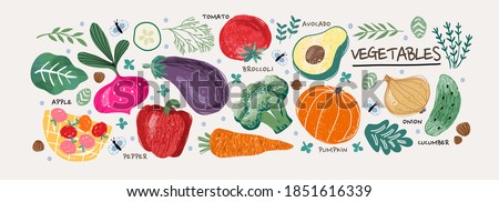 Vegetables.Vector food illustrations: tomato, beet, bay leaf, pepper, eggplant, cucumber, broccoli, carrot, pumpkin, avocado, onion and rosemary