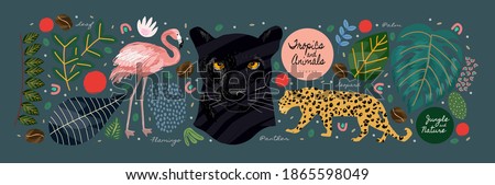 Jungle, animals and tropics. Vector illustrations of flamingo, panther, tiger, leopard, palm leaves, flowers and textures. Drawings for poster, background and cover