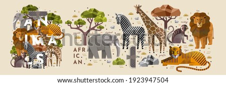 African animals. Vector illustrations of giraffe, elephant, zebra, eagle, monkey, tiger, lion, acacia tree and stone. Drawings of flora and fauna of the savannah