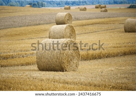 Similar – Image, Stock Photo harvest time Field